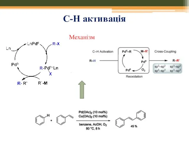 С-Н активація Механізм