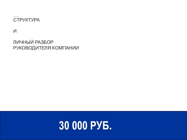 ОРГАНИЗАЦИОННАЯ СТРУКТУРА И ЛИЧНЫЙ РАЗБОР РУКОВОДИТЕЛЯ КОМПАНИИ 30 000 РУБ.