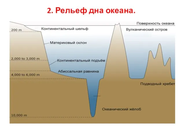 2. Рельеф дна океана.