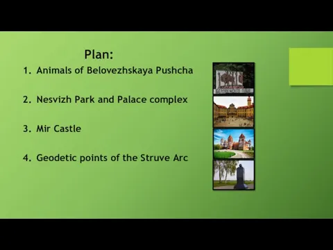 Animals of Belovezhskaya Pushcha Nesvizh Park and Palace complex Mir Castle