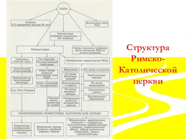 Структура Римско- Католической церкви