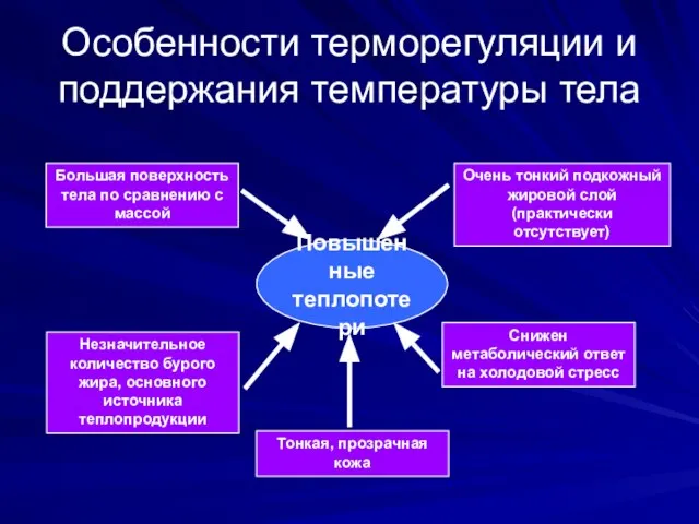 Особенности терморегуляции и поддержания температуры тела Повышенные теплопотери Большая поверхность тела