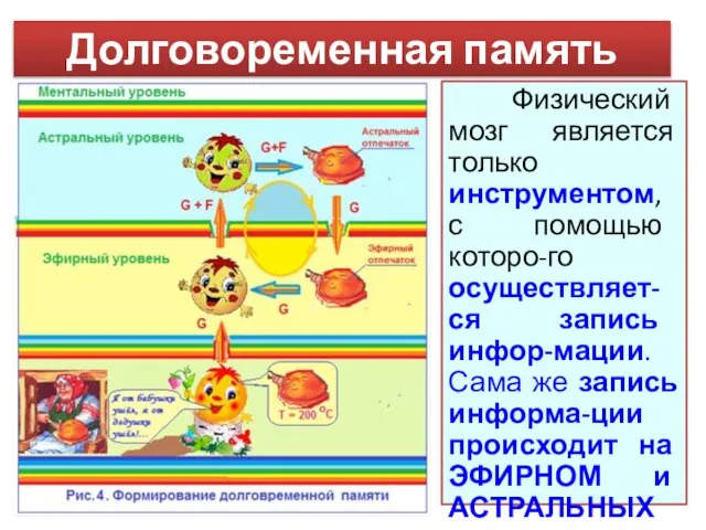 Физический мозг является только инструментом, с помощью которо-го осуществляет-ся запись инфор-мации.