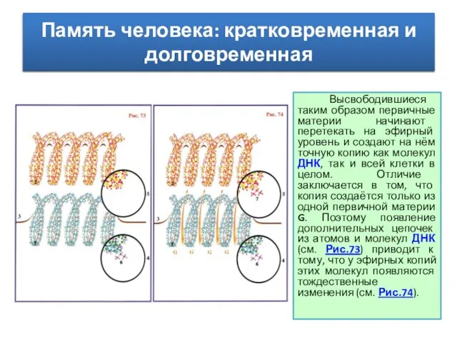 Высвободившиеся таким образом первичные материи начинают перетекать на эфирный уровень и