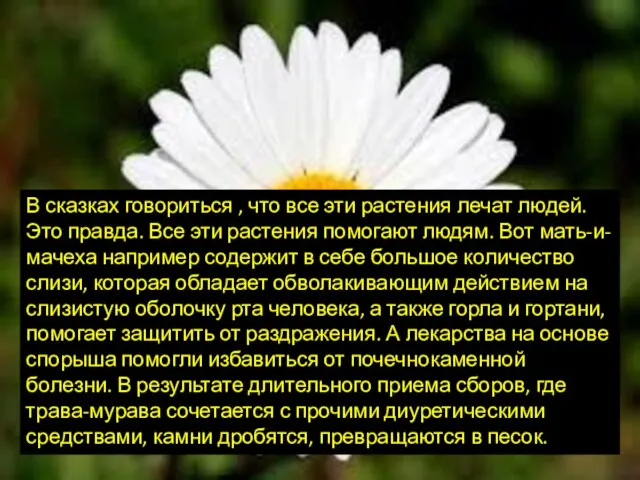 В сказках говориться , что все эти растения лечат людей. Это