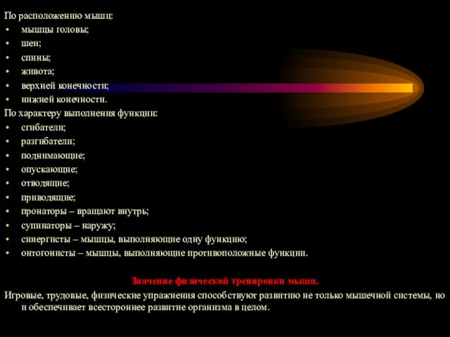 По расположению мышц: мышцы головы; шеи; спины; живота; верхней конечности; нижней