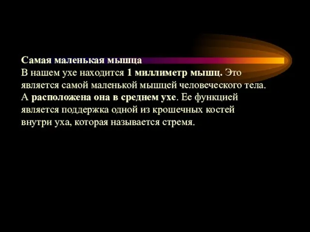 Самая маленькая мышца В нашем ухе находится 1 миллиметр мышц. Это