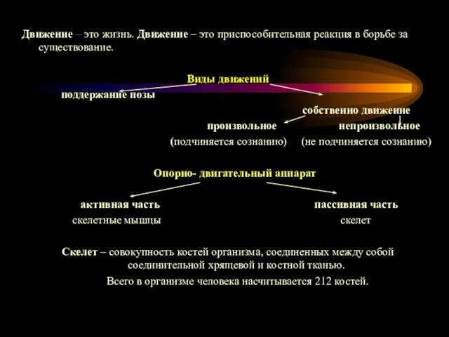 Движение – это жизнь. Движение – это приспособительная реакция в борьбе