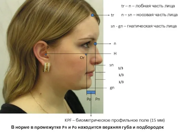 tr n H Po Pn gn sn KPF – биометрическое профильное