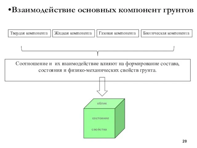 Взаимодействие основных компонент грунтов Твердая компонента Жидкая компонента Газовая компонента Биотическая