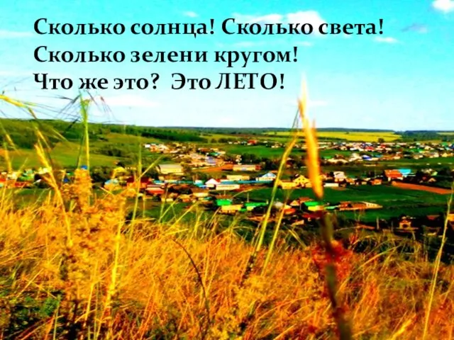 Сколько солнца! Сколько света! Сколько зелени кругом! Что же это? Это ЛЕТО!