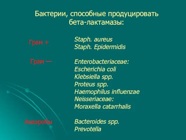 Бактерии, способные продуцировать бета-лактамазы: Грам + Staph. aureus Staph. Epidermidis Enterobacteriaceae: