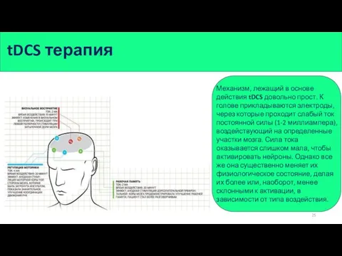 tDCS терапия Механизм, лежащий в основе действия tDCS довольно прост. К