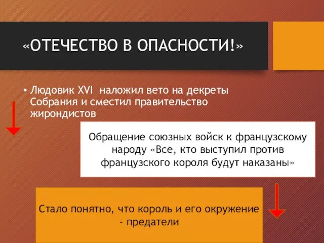 «ОТЕЧЕСТВО В ОПАСНОСТИ!» Людовик XVI наложил вето на декреты Собрания и