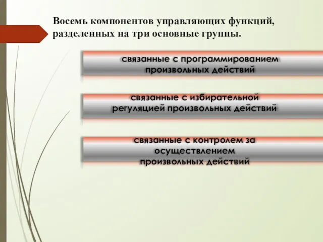 связанные с программированием произвольных действий связанные с избирательной регуляцией произвольных действий