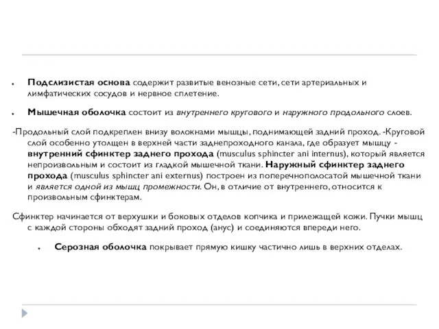 Подслизистая основа содержит развитые венозные сети, сети артериальных и лимфатических сосудов