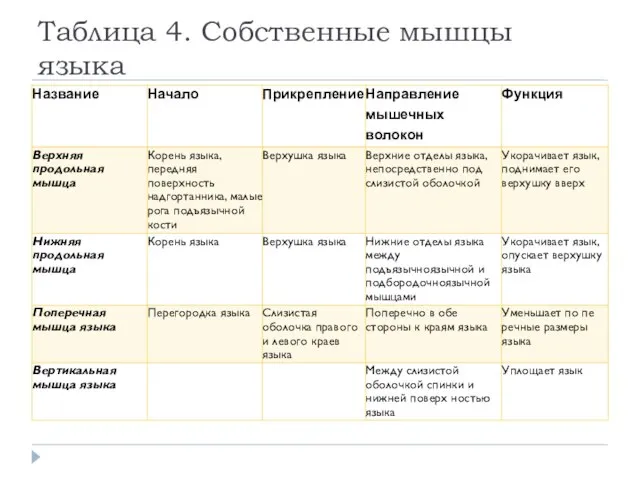 Таблица 4. Собственные мышцы языка