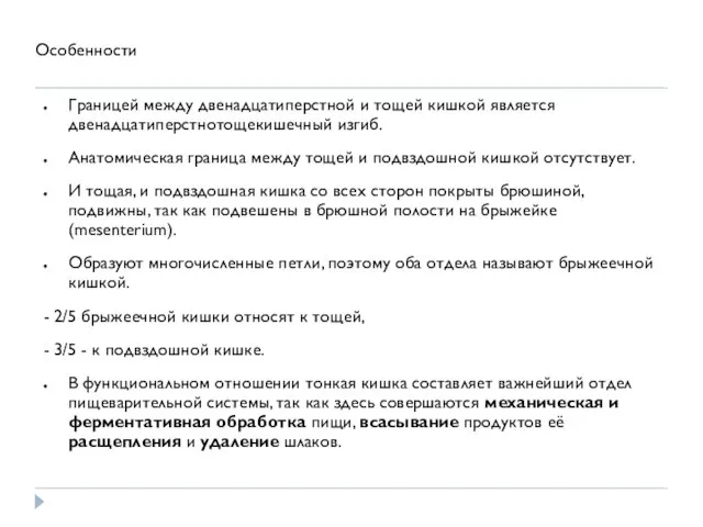 Особенности Границей между двенадцатиперстной и тощей кишкой является двенадцатиперстнотощекишечный изгиб. Анатомическая