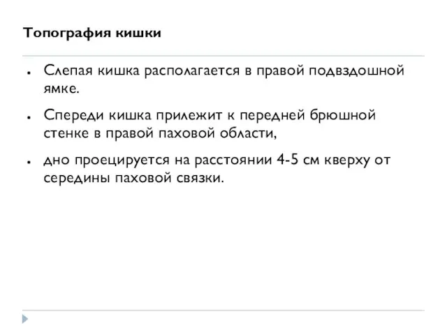 Топография кишки Слепая кишка располагается в правой подвздошной ямке. Спереди кишка