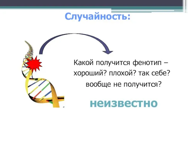 Какой получится фенотип –хороший? плохой? так себе? вообще не получится? неизвестно Случайность: