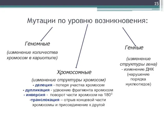 Мутации по уровню возникновения: Генные Хромосомные Геномные (изменение структуры гена) изменение