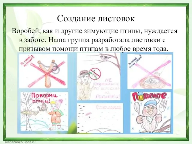 Создание листовок Воробей, как и другие зимующие птицы, нуждается в заботе.