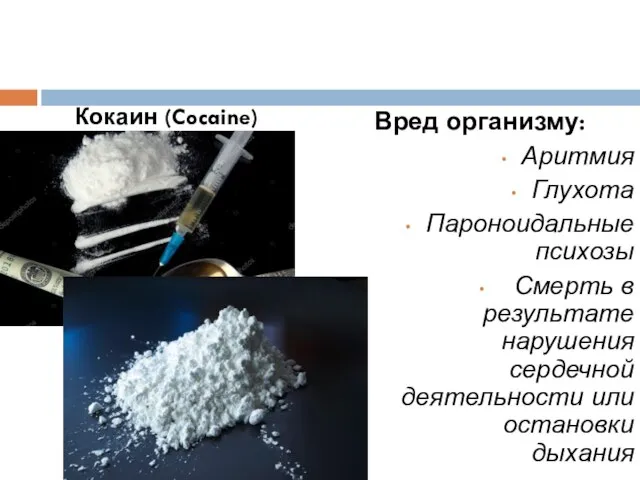 Кокаин (Cocaine) Вред организму: Аритмия Глухота Пароноидальные психозы Смерть в результате