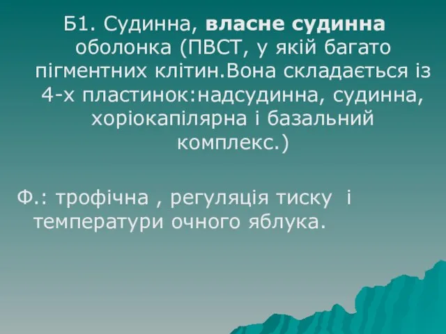 Б1. Судинна, власне судинна оболонка (ПВСТ, у якій багато пігментних клітин.Вона