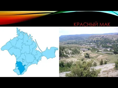 КРАСНЫЙ МАК