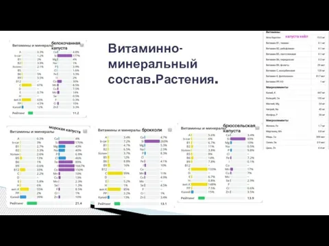 Витаминно- минеральный состав.Растения.