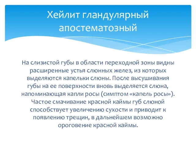 На слизистой губы в области переходной зоны видны расширенные устья слюнных