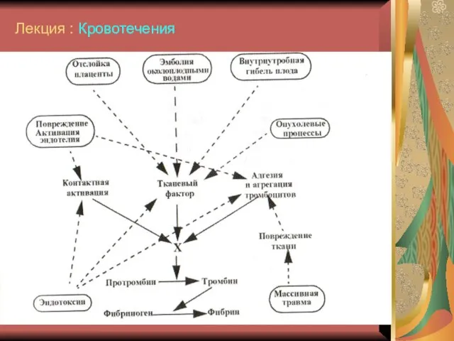 Лекция : Кровотечения