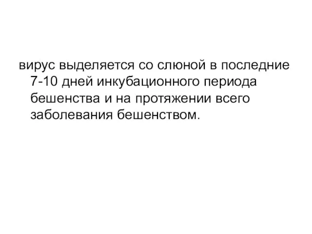 вирус выделяется со слюной в последние 7-10 дней инкубационного периода бешенства