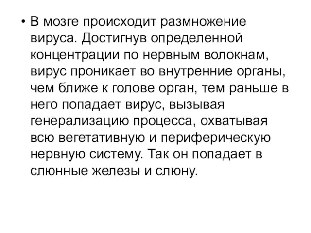 В мозге происходит размножение вируса. Достигнув определенной концентрации по нервным волокнам,