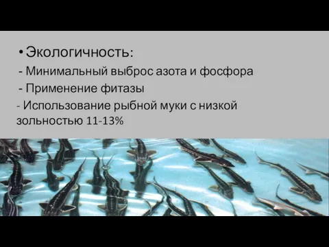 Экологичность: Минимальный выброс азота и фосфора Применение фитазы - Использование рыбной муки с низкой зольностью 11-13%