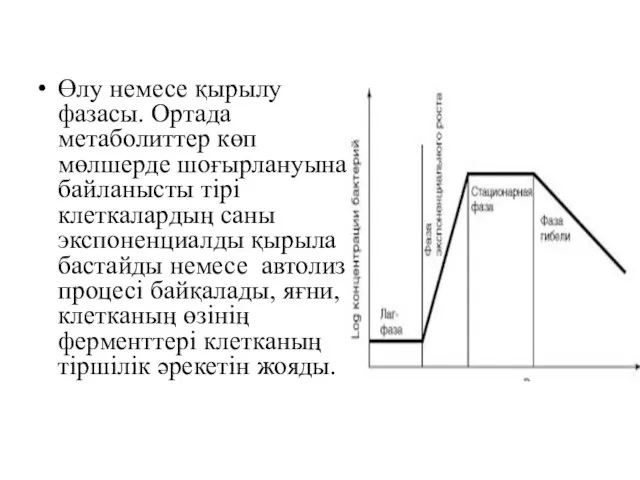 Өлу немесе қырылу фазасы. Ортада метаболиттер көп мөлшерде шоғырлануына байланысты тірі