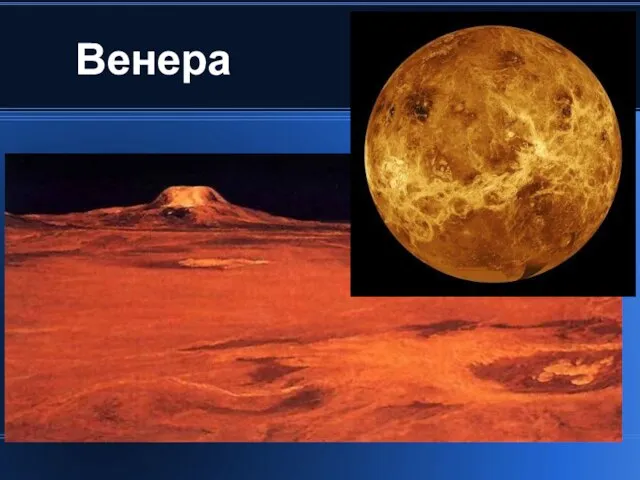 Венера