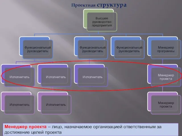 Проектная структура Менеджер проекта – лицо, назначаемое организацией ответственным за достижение целей проекта