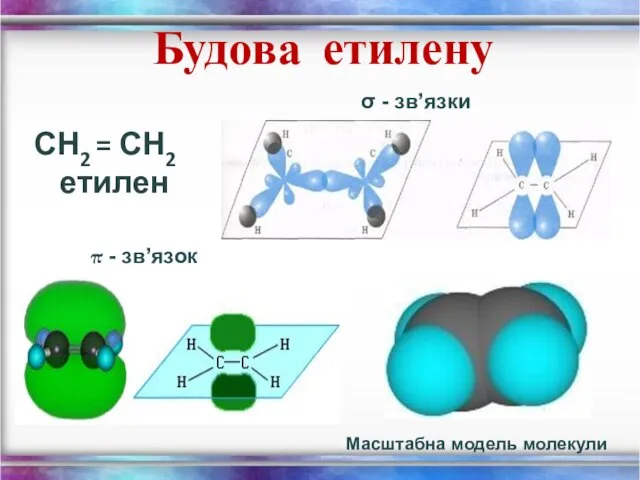 Будова етилену СН2 = СН2 етилен σ - зв’язки π - зв’язок Масштабна модель молекули