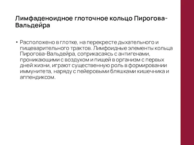 Лимфаденоидное глоточное кольцо Пирогова-Вальдейра Расположено в глотке, на перекресте дыхательного и