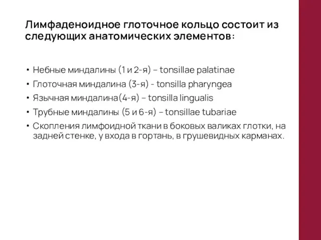 Лимфаденоидное глоточное кольцо состоит из следующих анатомических элементов: Небные миндалины (1