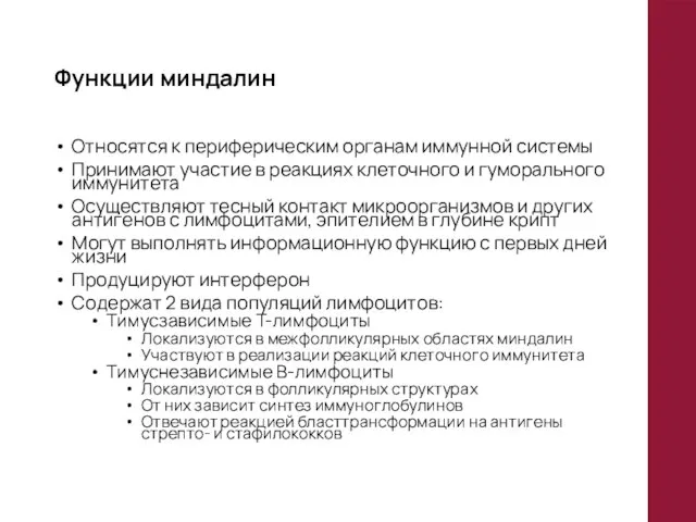 Функции миндалин Относятся к периферическим органам иммунной системы Принимают участие в