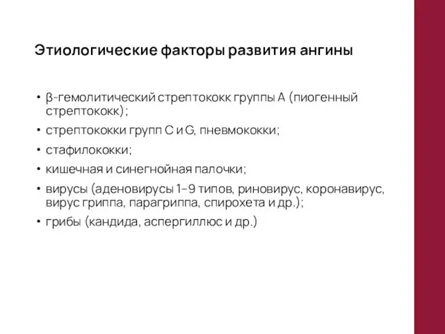 Этиологические факторы развития ангины β-гемолитический стрептококк группы А (пиогенный стрептококк); стрептококки