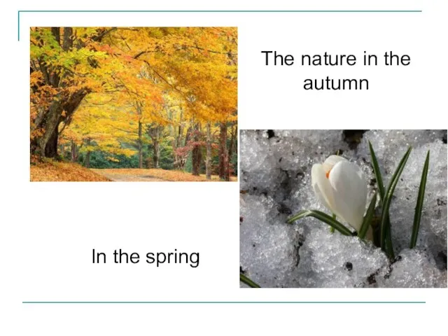 The nature in the autumn In the spring