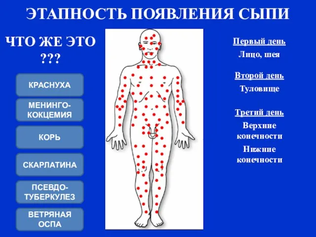 ЭТАПНОСТЬ ПОЯВЛЕНИЯ СЫПИ Верхние конечности Нижние конечности Туловище Лицо, шея Первый