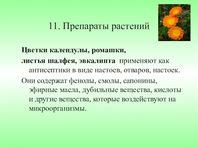 11. Препараты растений Цветки календулы, ромашки, листья шалфея, эвкалипта применяют как