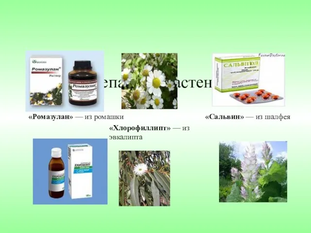 Препараты растений «Ромазулан» — из ромашки «Хлорофиллипт» — из эвкалипта «Сальвин» — из шалфея