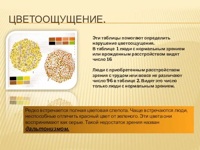 ЦВЕТООЩУЩЕНИЕ. Эти таблицы помогают определить нарушение цветоощущения. В таблице 1 люди