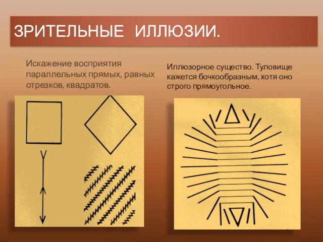 ЗРИТЕЛЬНЫЕ ИЛЛЮЗИИ. Искажение восприятия параллельных прямых, равных отрезков, квадратов. Иллюзорное существо.