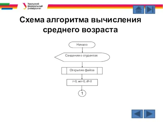 Схема алгоритма вычисления среднего возраста